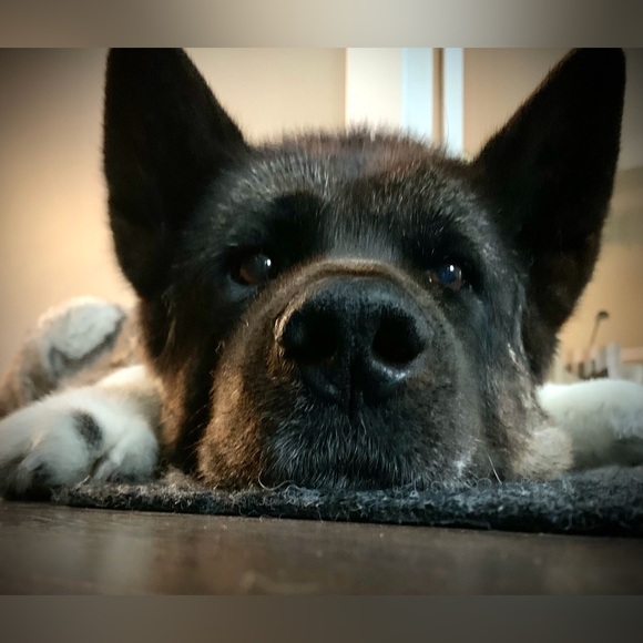 Meet your Posher, Marisa - Picture 8 of 14